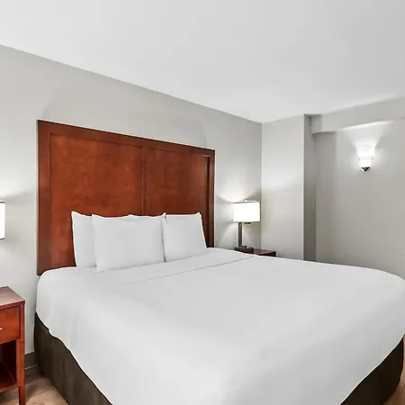 Comfort Suites Near Potomac Mills-2