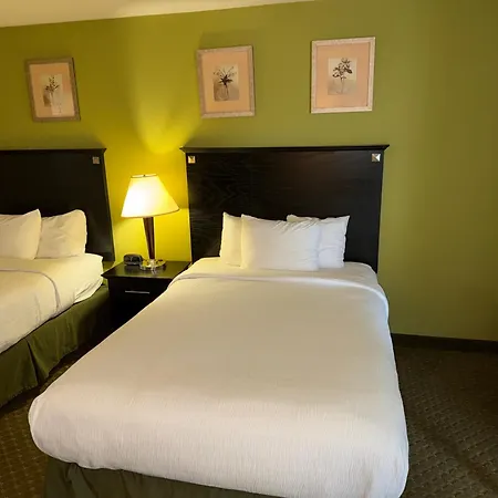 Quality Inn & Suites Moline Airport-2