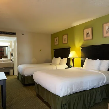 Quality Inn & Suites Moline Airport-3
