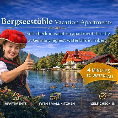 Self-check-in Ferienwohnungen&Apartments am Bergsee-2