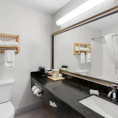 Quality Inn & Suites Niles-2