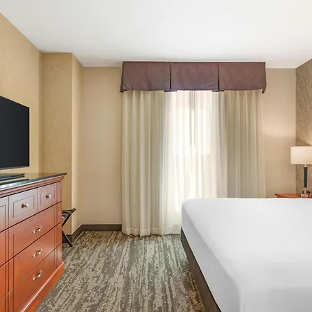 Drury Plaza Hotel St Louis Brentwood-3