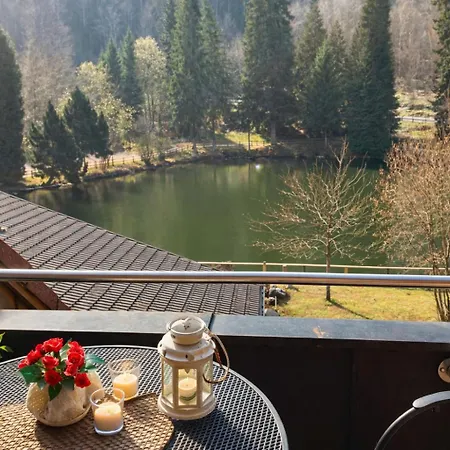 Self-check-in Ferienwohnungen&Apartments am Bergsee-3