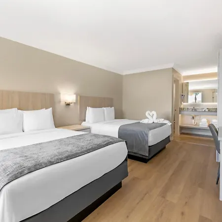 Orlando International Drive North Hotel-3