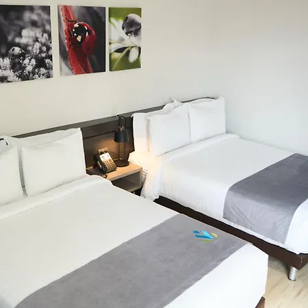 Hotel Vivre-2