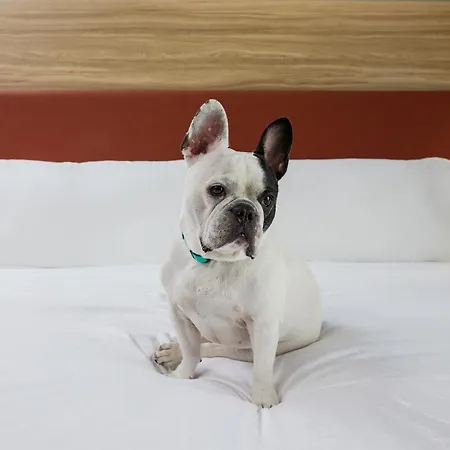Candlewood Suites Jacksonville Southpoint-3