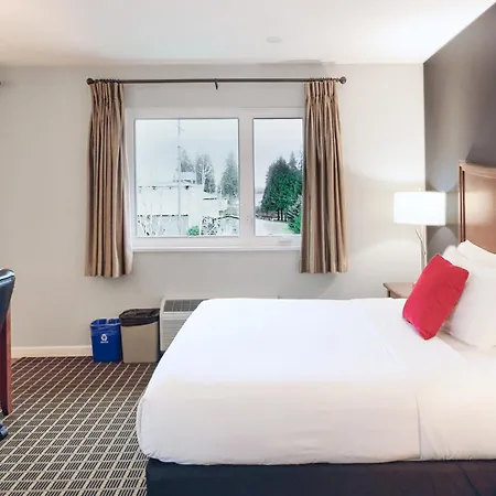 Gibsons Garden Hotel-2