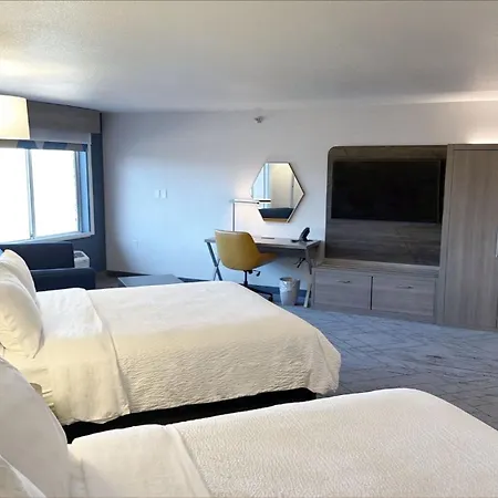 Holiday Inn Express & Suites Rapid City By Ihg-3