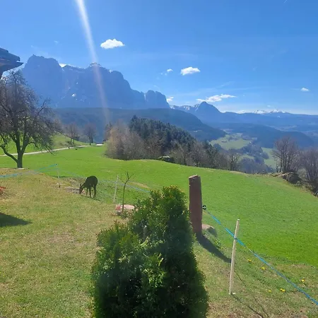 B&B Gasthaus Lieg-2