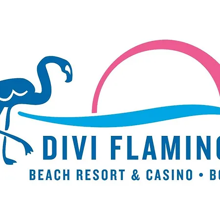 Divi Flamingo Beach Resort-3