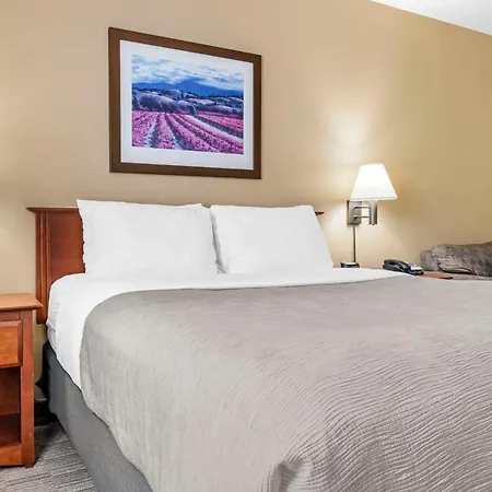 Quality Inn Airport-3