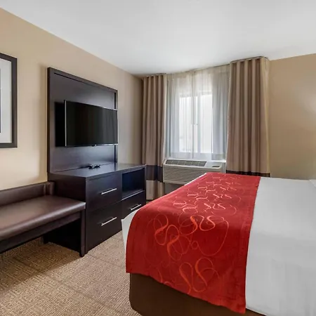 Comfort Suites Highlands Ranch Denver Tech Center Area-3