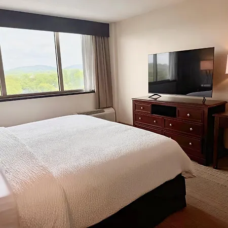 Holiday Inn Birmingham-Airport By Ihg-2