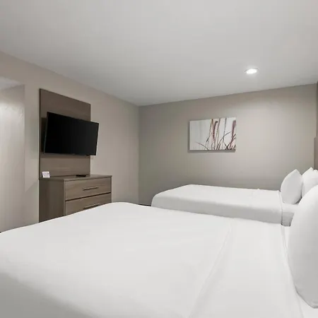 Quality Suites Wildwood - The Villages-3