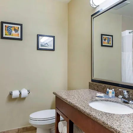 Comfort Inn & Suites San Bernardino-2