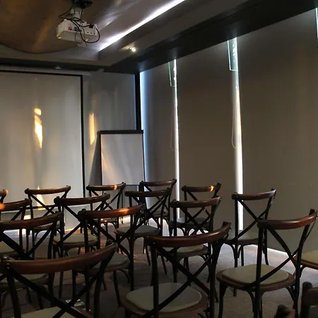 Ibis Culiacan-3