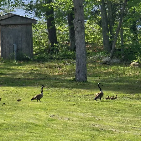 Lake Shore Farm Inn-2