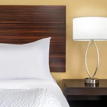 Garner Hotel Houston - Westchase By Ihg-3