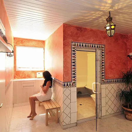 Ibis Orange Sud-3