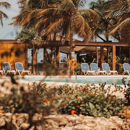 Eden Beach Resort - Bonaire-3