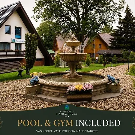 Wellness hotel Harrachovka-2