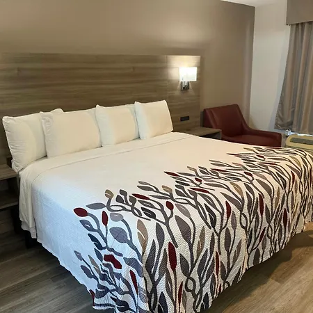 Red Roof Inn Orangeburg-3