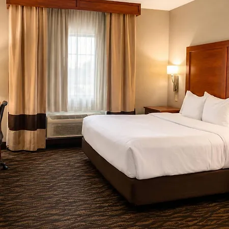 Comfort Inn & Suites Las Cruces Mesilla-3
