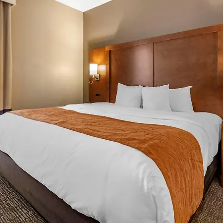 Comfort Suites Bethlehem Near Lehigh University And Lvi Airport-3