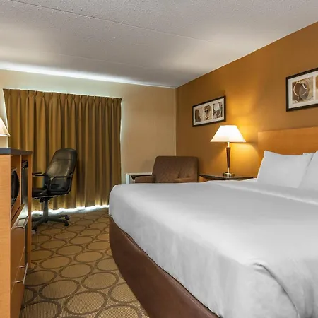 Clarion Pointe-2