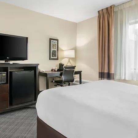 Comfort Inn Detroit Downtown-3