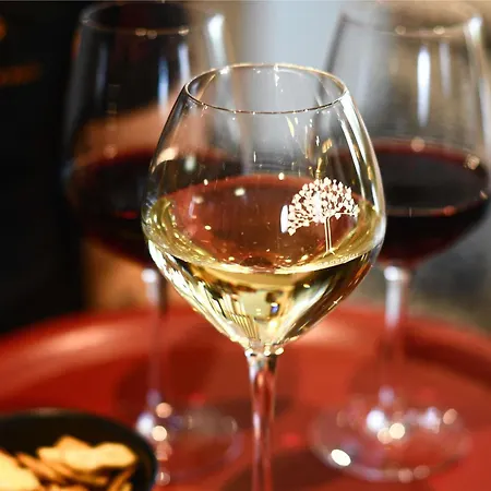 ibis Beaune La Ferme Aux Vins-2