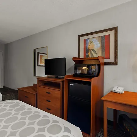 Park Inn By Radisson, Detroit Metro Airport-2