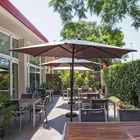Ibis Cornella-3