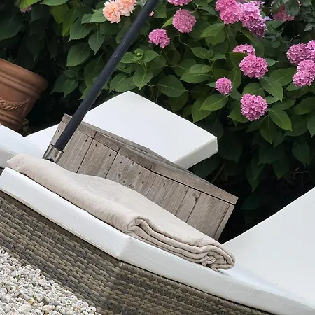 Cozy Boutique B&B De Roos&Garden Lounge-2