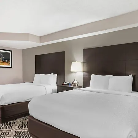 Quality Suites Pineville - Charlotte-3