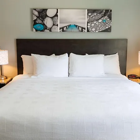 Caretta Landing Sarasota, An Ascend Collection Hotel-3