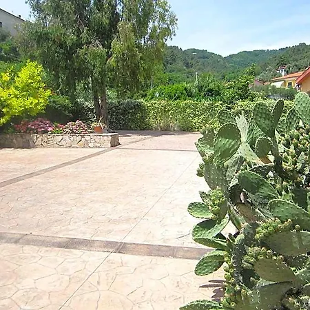 Albergo La Mimosa-3