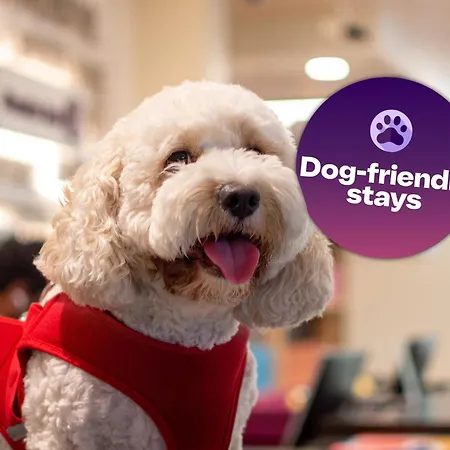 Premier Inn Dubai Silicon Oasis - An Emirates Group Company-3