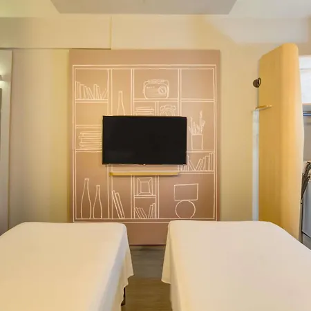 Ibis Paranagua-2
