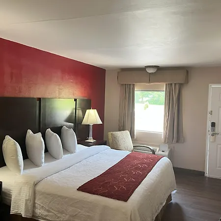 Pinetree Inn-3