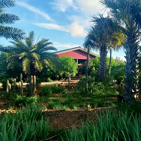 Red Palm Village-3