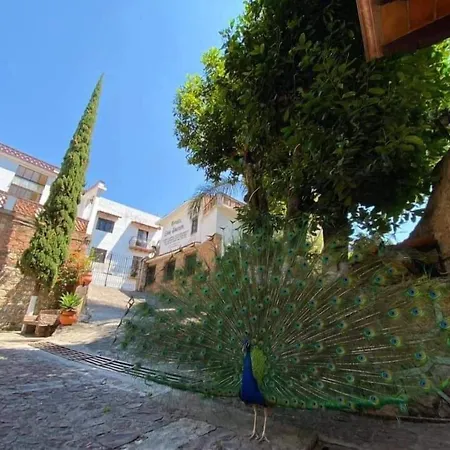 Hotel Posada San Javier-2