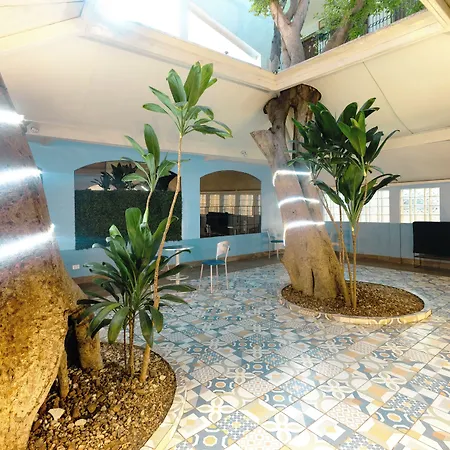 Hotel Suites Kino-3