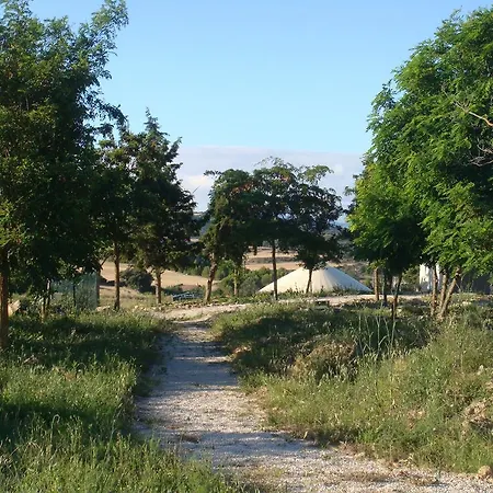 Campo de Reyes-2