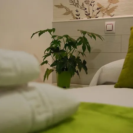 Hostal PETITE MAMAN-3