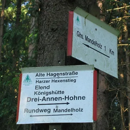 Hotel Grüne Tanne Mandelholz-3