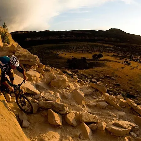 Super 8 By Wyndham Fruita-3