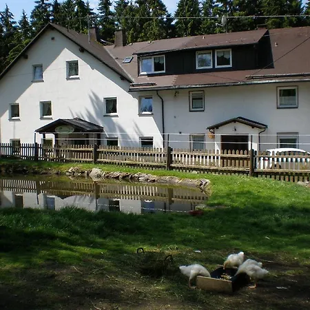 Gasthof Pension Waldfrieden-2