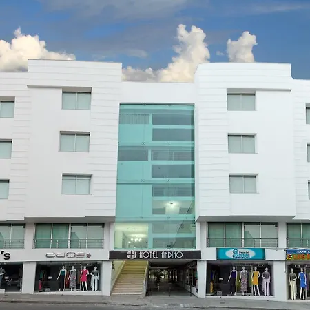 Hotel Andino-3