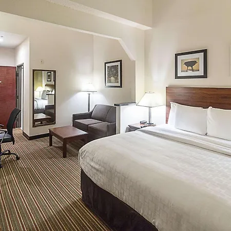 Quality Inn & Suites West Chase-2